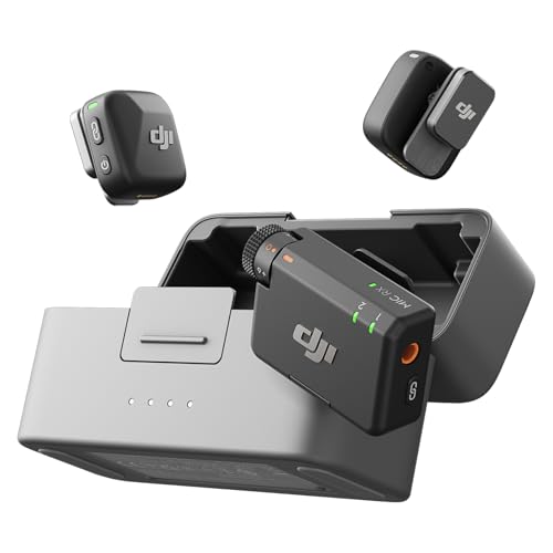 Mic Mini